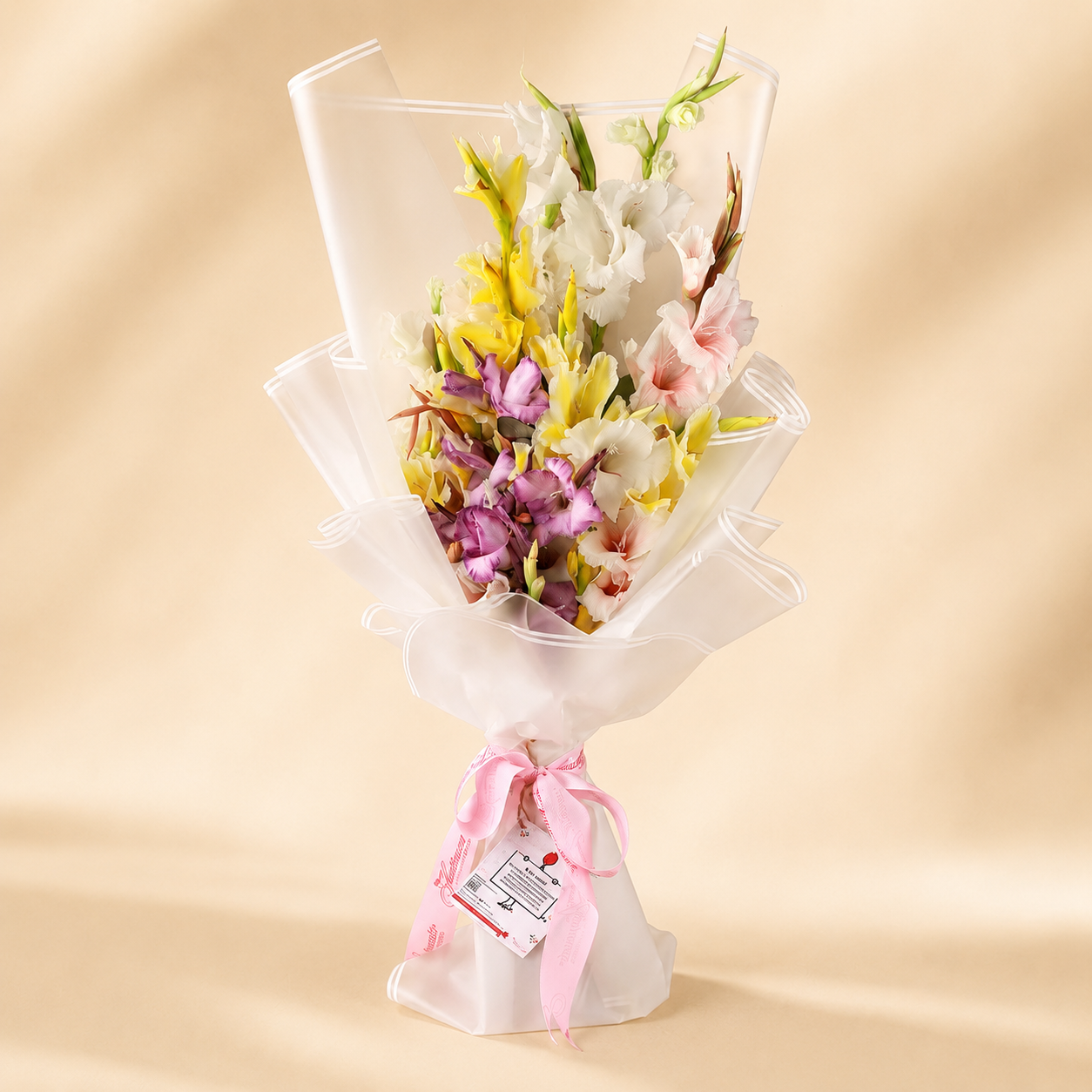 Aurore - Gladiolus - TCS SentimentsExpress