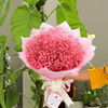 Pink Gypso Sensation Bouquet