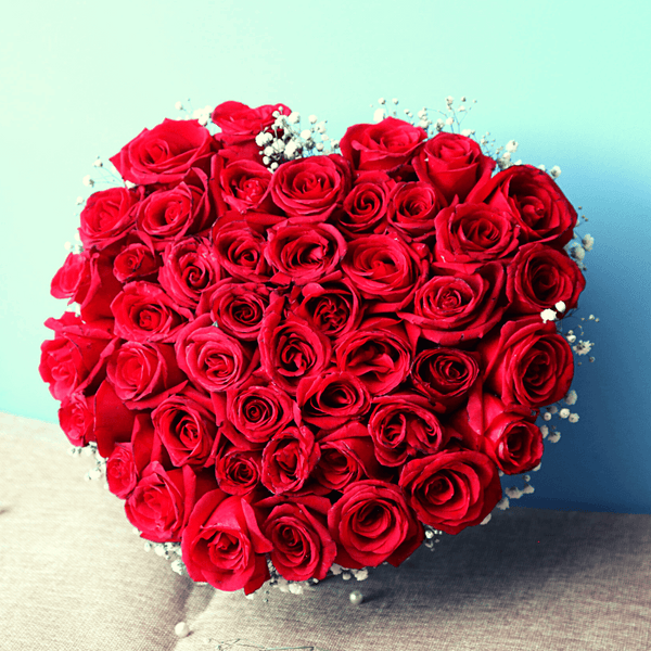 Red Romantic Long Stem Roses