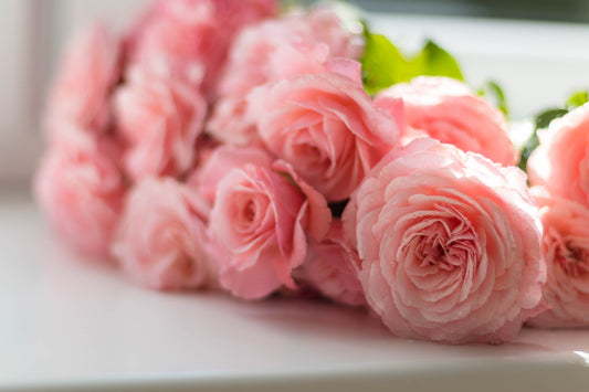 Why Flowers Are The Best Present For Everyone