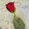 One Rose, Endless Love