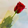 One Rose, Endless Love