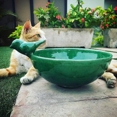 Solid Green Bird Bath