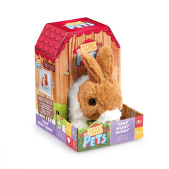 PLAYFUL BUNNY BROWN