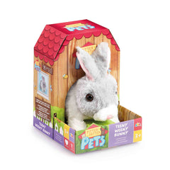 PLAYFUL BUNNY GREY