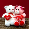 6 Inch Couple Bear (White & Pink)