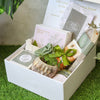 Gift box - Evergreen With Whimsical White