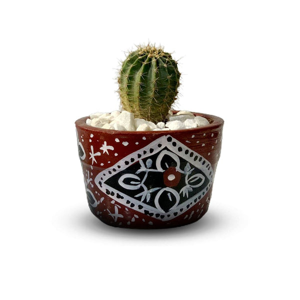 Heritage Cactus Plant by Menta