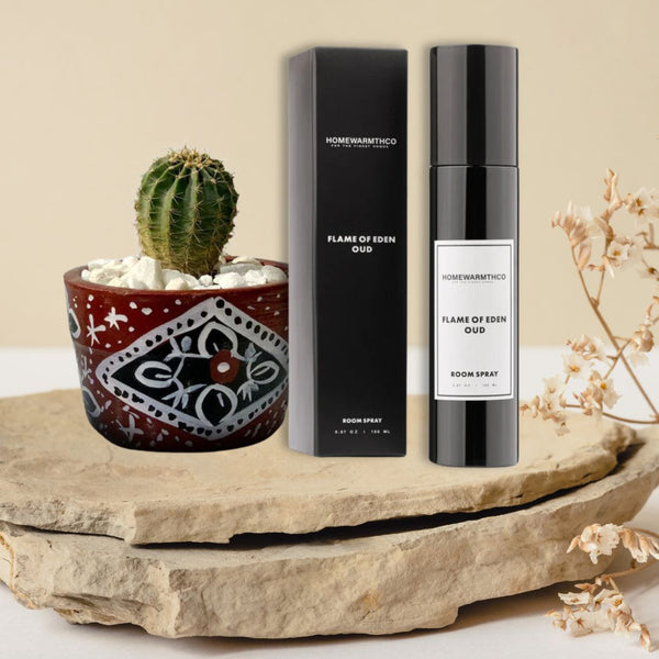 Heritage Cactus Plant  With OUD ROOM SPRAY