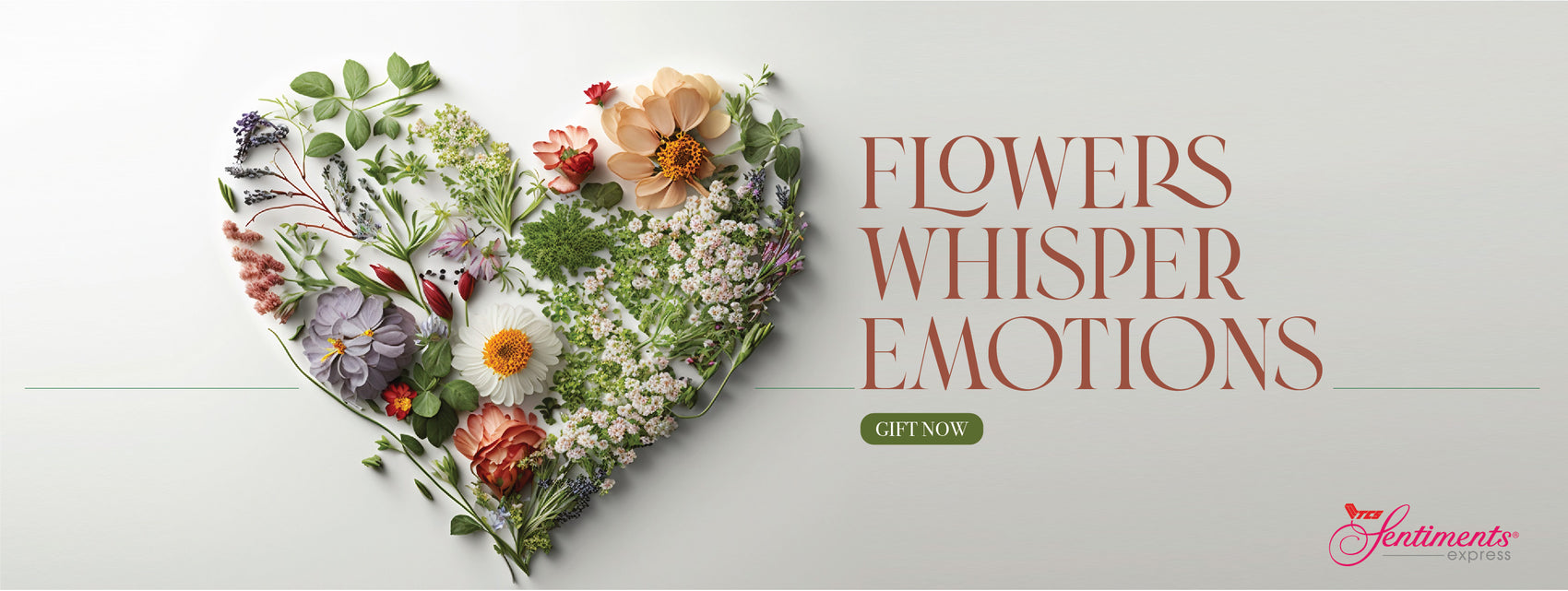 TCS Sentiments Express | Gift, Flower and Cake Delivery Service– TCS ...