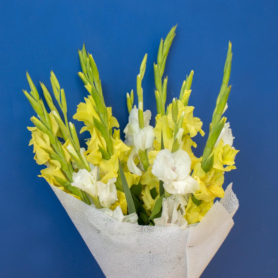 Vibrant Bouquet - Yellow Gladiolus